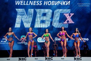 WELLNESS НОВИЧКИ